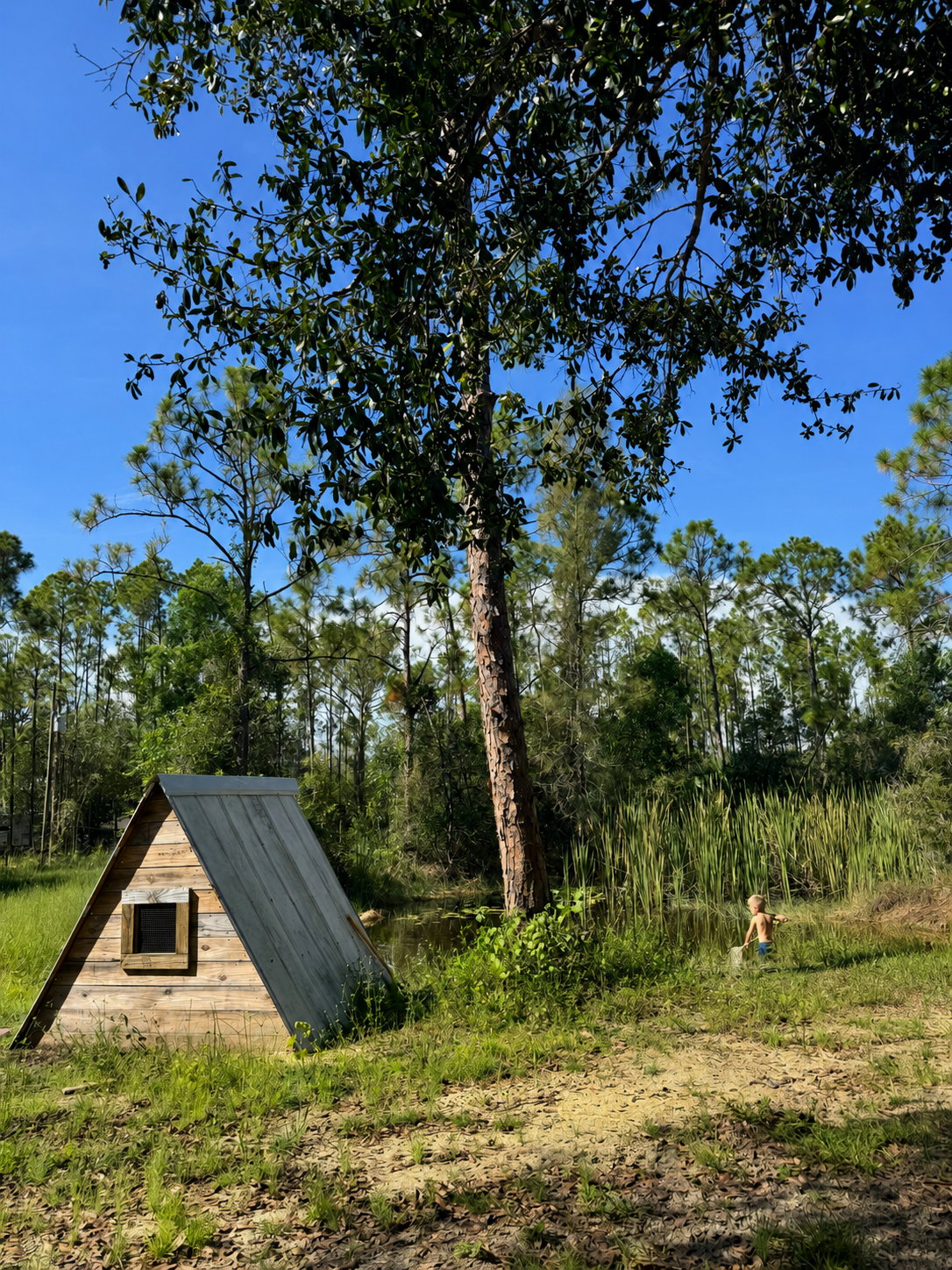Drop-Off Forest School